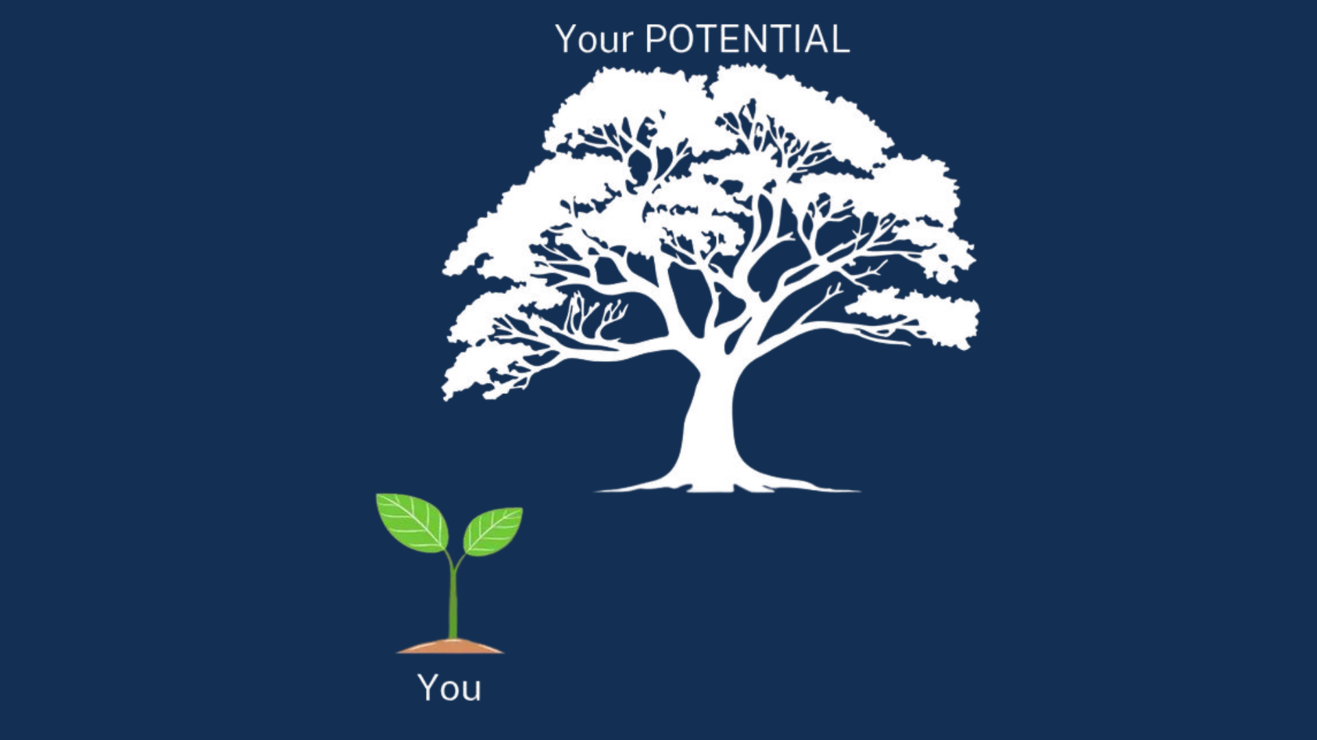 Potential
